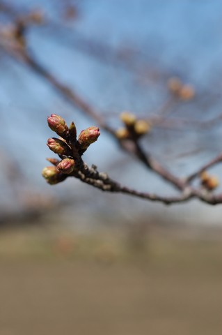 ڂ